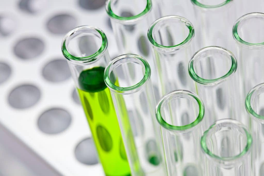 recruter inégnieur biotechnologie