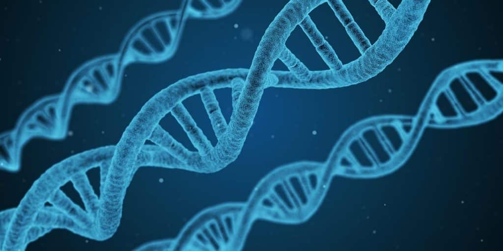 Blog Persuaders: "Investing in France's biopharmaceutical sector : A strategic move for global companies"